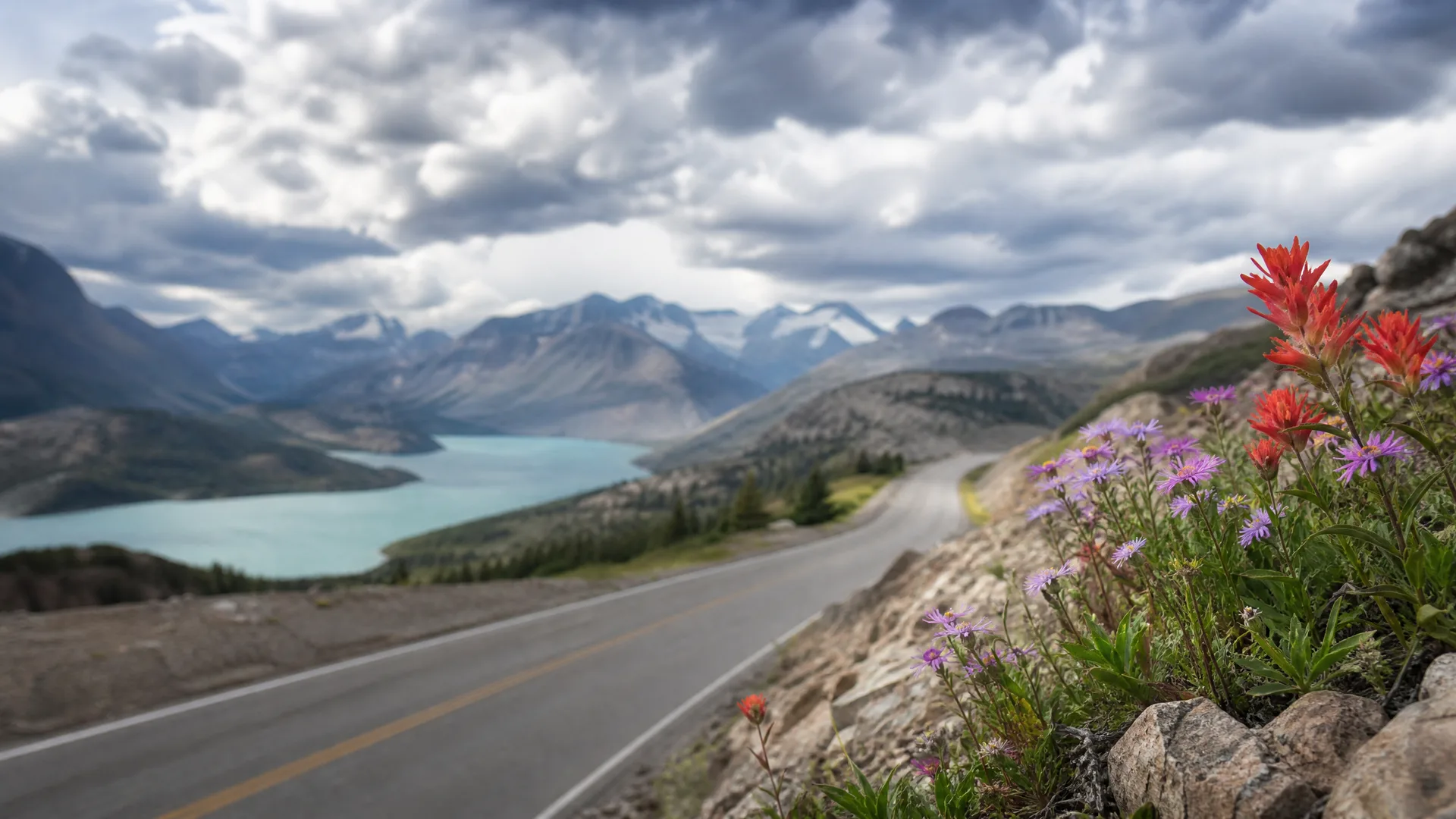 A paved two-lane road curves along a slope above a turquoise lake, with snow-streaked mountains and heavy clouds behind and purple and red wildflowers growing on rocky ground in the foreground.